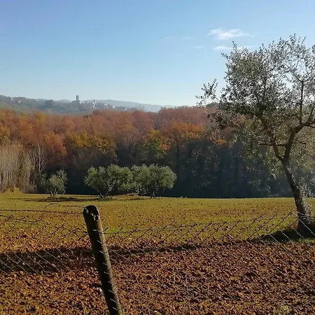 Giagio & Aceto Larciano